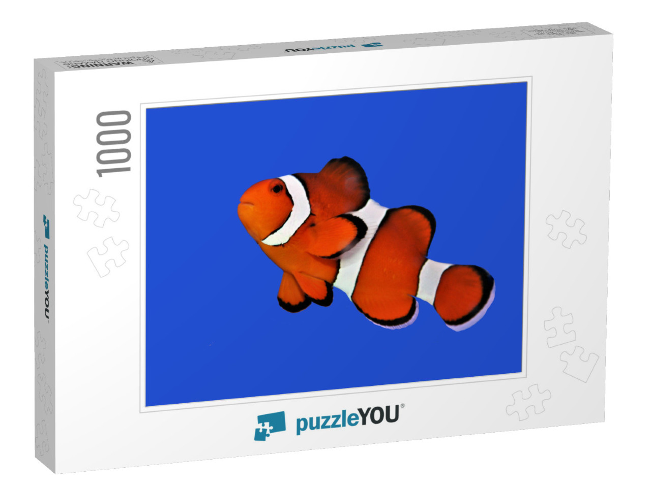 The Orange Clownfish Percula Clownfish, Clown Anemonefish... Jigsaw Puzzle with 1000 pieces