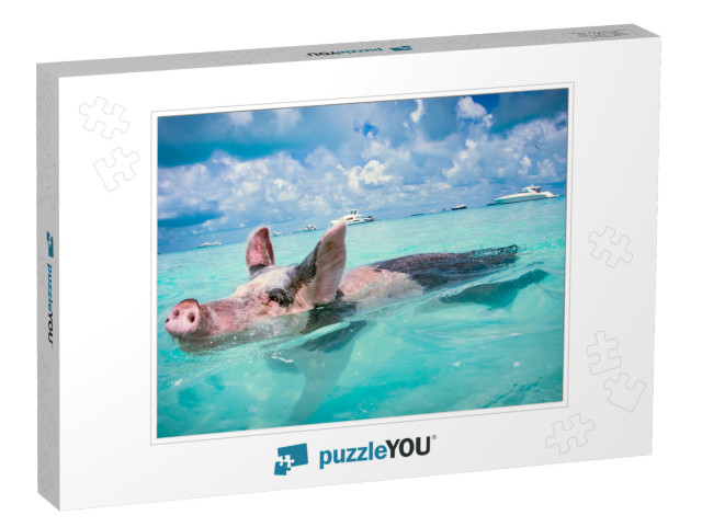 The Swimming Pigs of the Bahamas... Jigsaw Puzzle