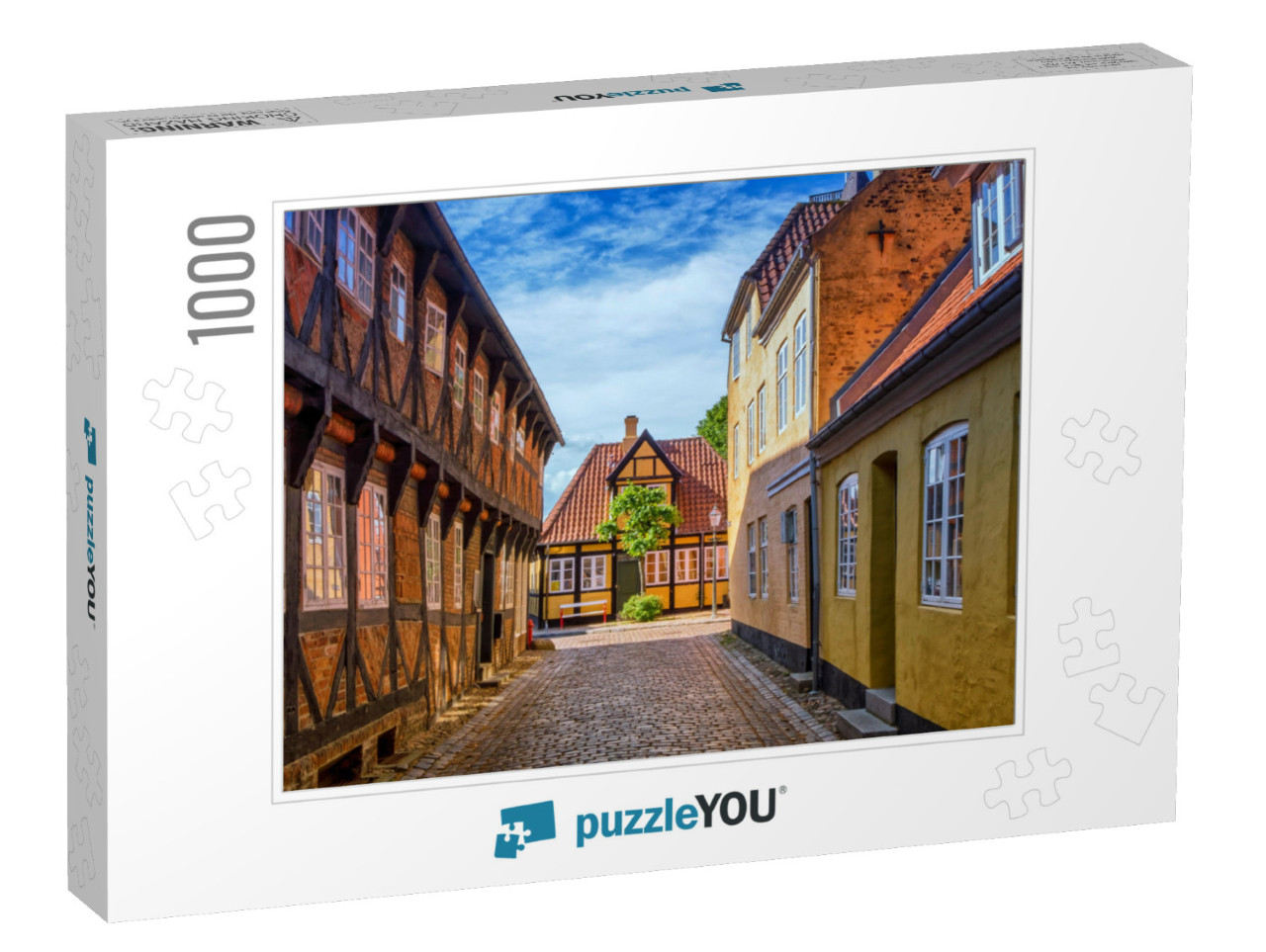 Street & Houses in Medieval Ribe Town, Denmark... Jigsaw Puzzle with 1000 pieces