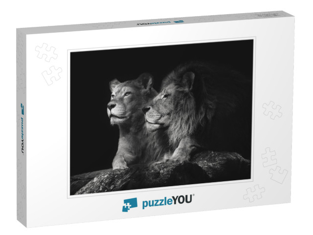 Portrait of a Sitting Lions Couple Close-Up on an Isolate... Jigsaw Puzzle