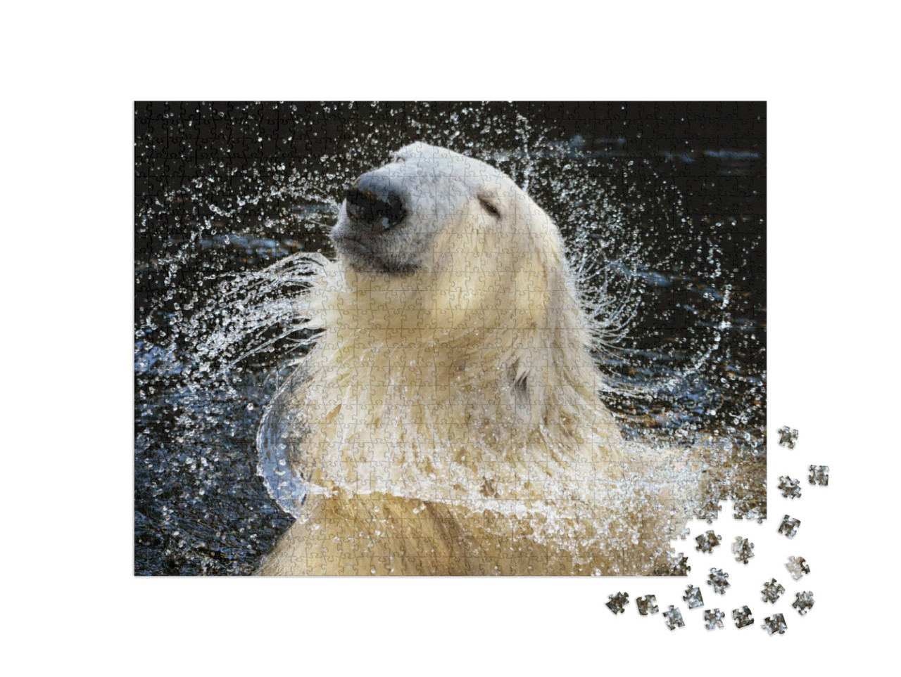 Because I'm Worth It!, a Portrait of Polar Bear Who Appea... Jigsaw Puzzle with 1000 pieces