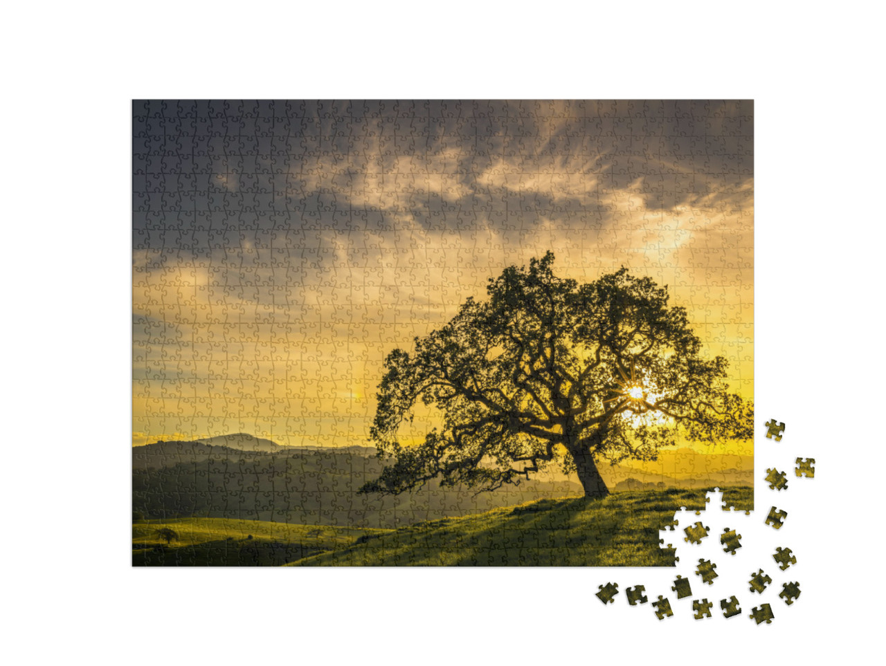 Sunset Through an Oak Tree Near San Jose California... Jigsaw Puzzle with 1000 pieces