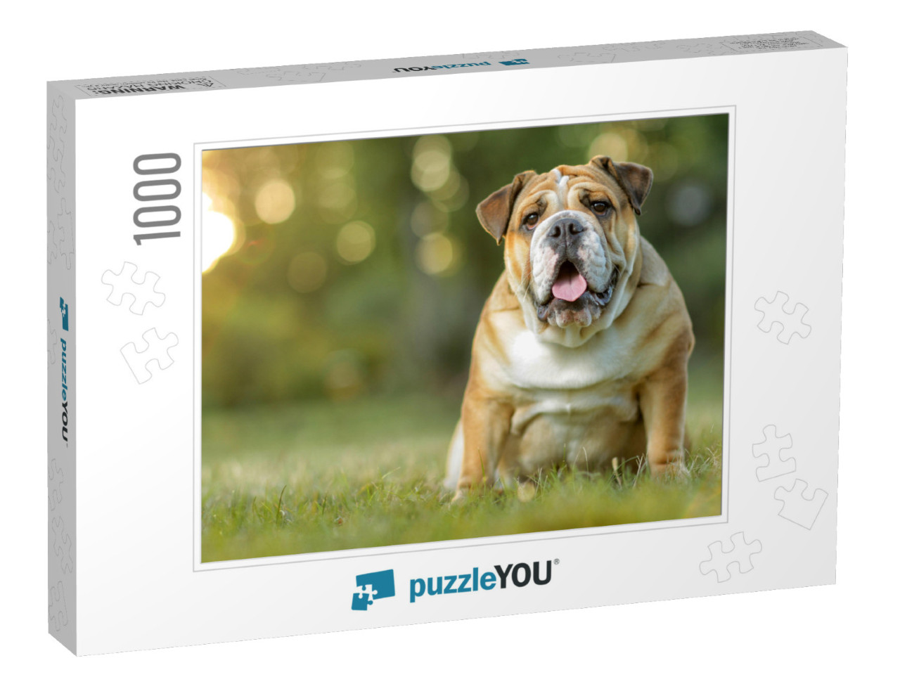 English Bulldog... Jigsaw Puzzle with 1000 pieces