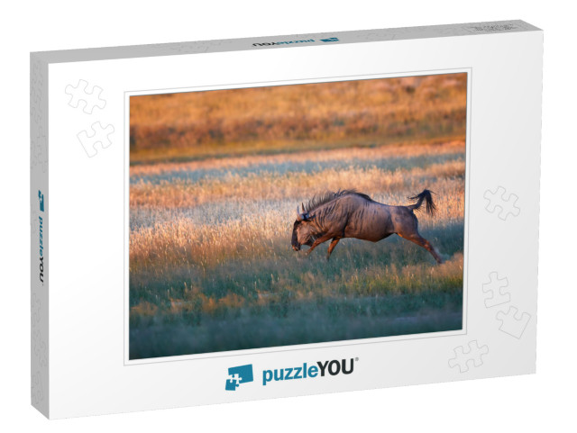 Blue Wildebeest, Connochaetes Taurinus, Large Antelope in... Jigsaw Puzzle