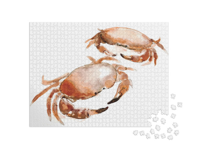 A Watercolor Painting of Two Crabs, Isolated on A... Jigsaw Puzzle with 1000 pieces