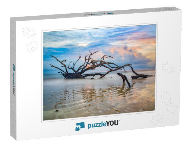 Driftwood Beach Sunrise in Jekyll Island, Georgia, Ga, Us... Jigsaw Puzzle