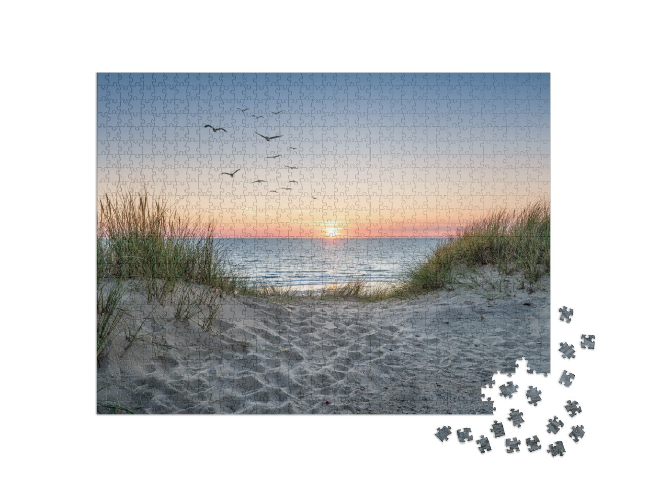 Sand Dunes on the Beach At Sunset... Jigsaw Puzzle with 1000 pieces