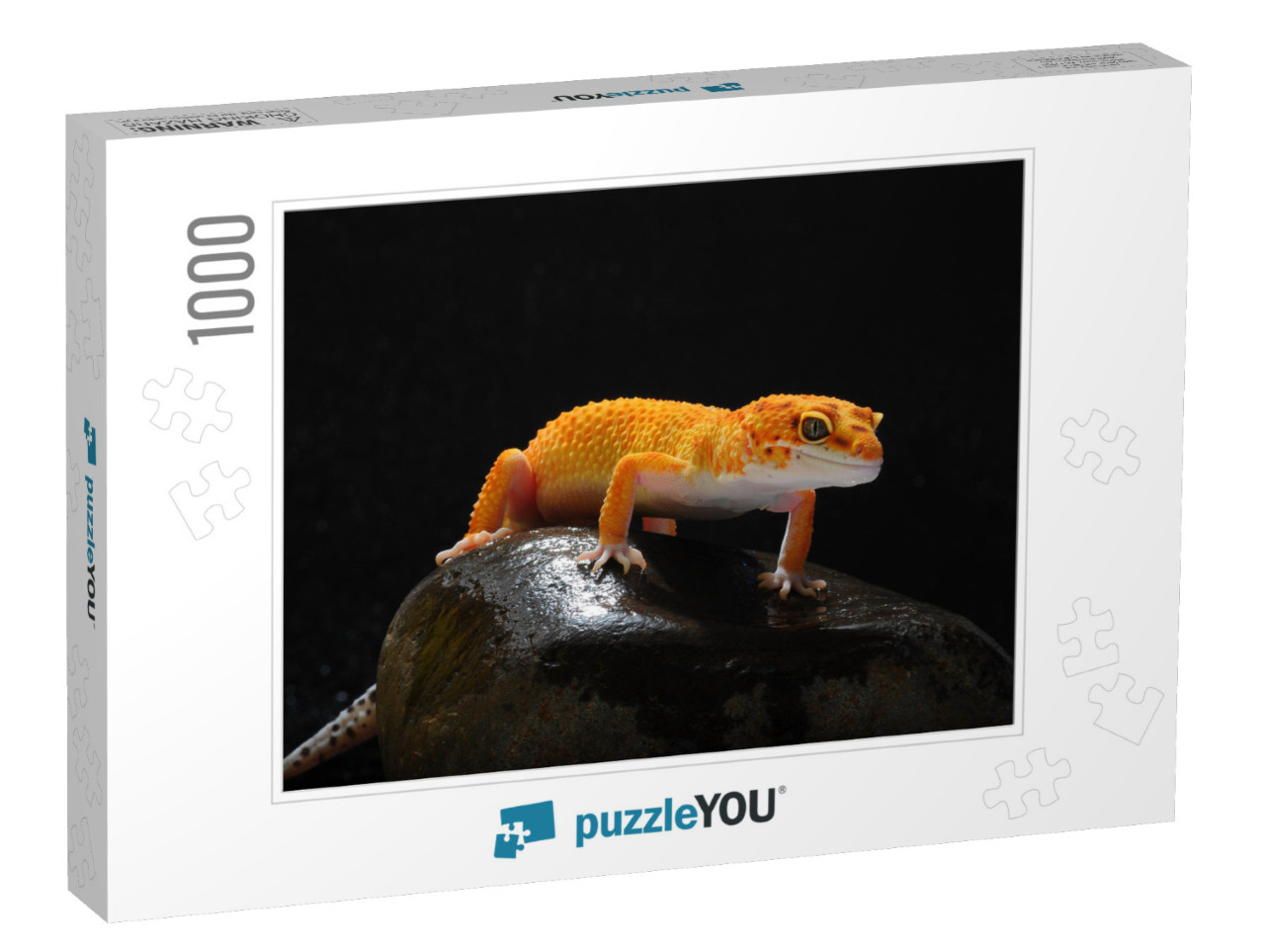 Gecko, Lizard, Leopard Lizard Gecko... Jigsaw Puzzle with 1000 pieces