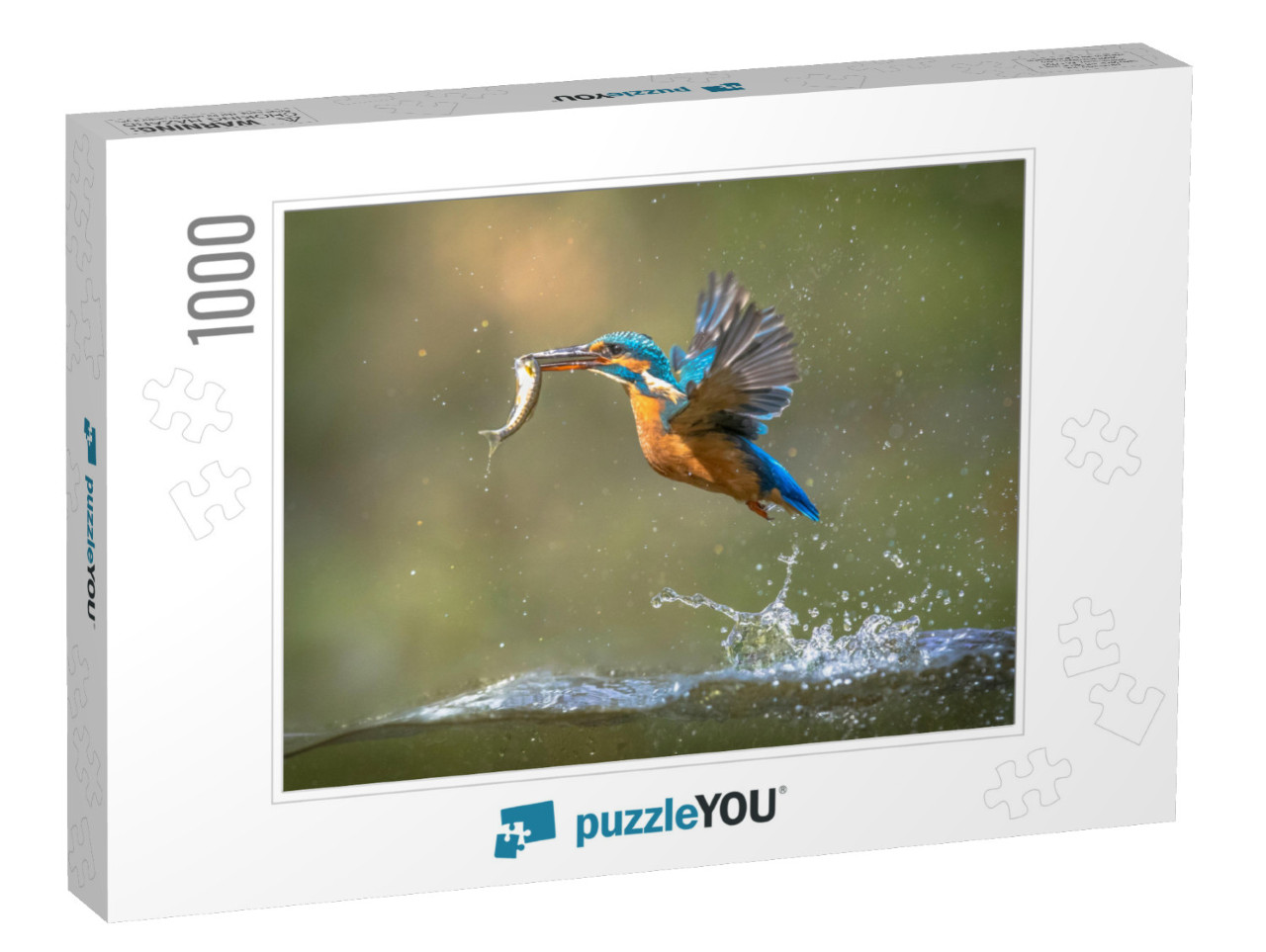 Common European Kingfisher Alcedo Atthis. River Kingfishe... Jigsaw Puzzle with 1000 pieces