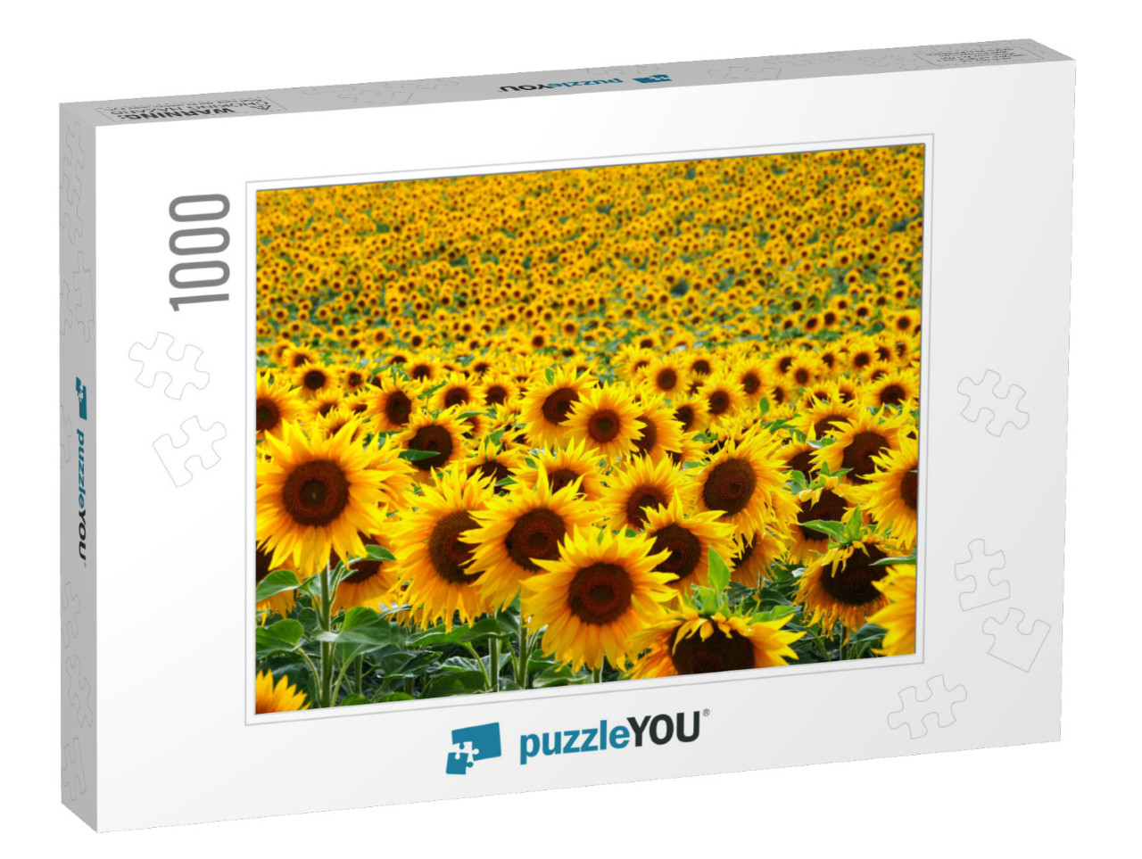 Sunflower Field... Jigsaw Puzzle with 1000 pieces