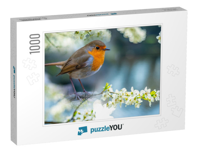 Red Robin Erithacus Rubecula Bird Close Up in the Spring... Jigsaw Puzzle with 1000 pieces