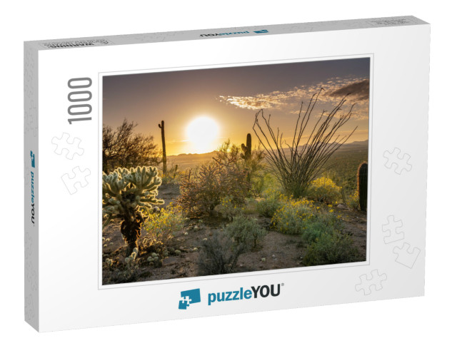 Sunset At Saguaro National Park West... Jigsaw Puzzle with 1000 pieces