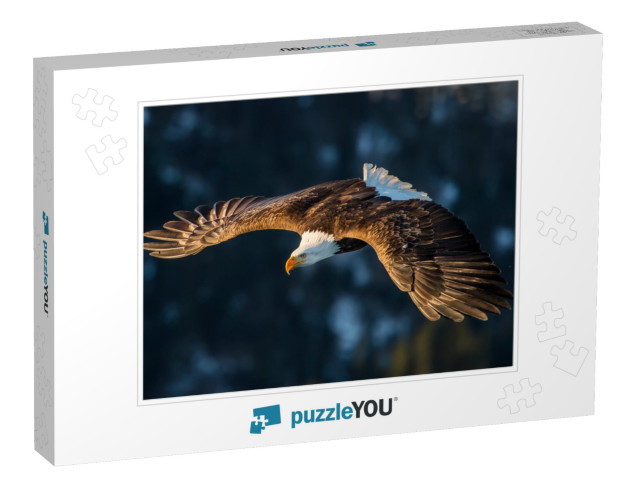 American Bald Eagle Diving in Flight Against Forested Ala... Jigsaw Puzzle