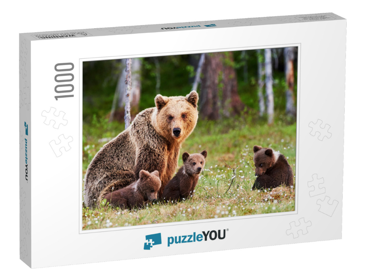 Brown Mother Bear Protecting Her Cubs in a Finnish Forest... Jigsaw Puzzle with 1000 pieces