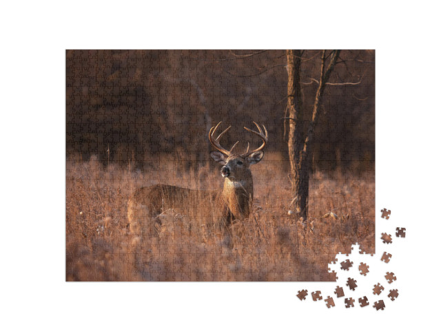 White-Tailed Deer Buck with a Huge Neck & Antlers Standin... Jigsaw Puzzle with 1000 pieces