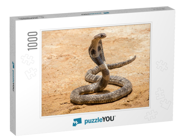 The King Cobra on Sand... Jigsaw Puzzle with 1000 pieces