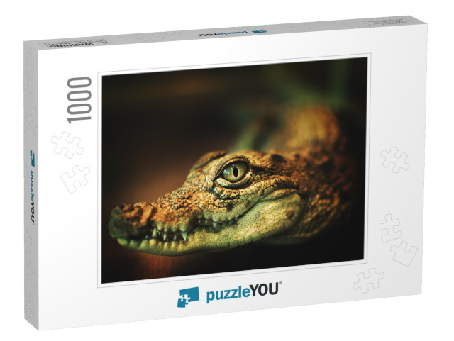 Crocodile Smiles. the Crocodiles Eyes Looking Directly At... Jigsaw Puzzle with 1000 pieces