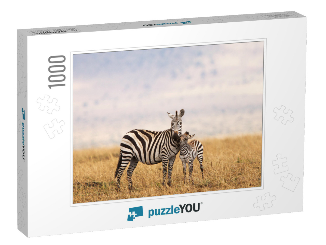 Burchells or Plains Zebra in Tanzania... Jigsaw Puzzle with 1000 pieces