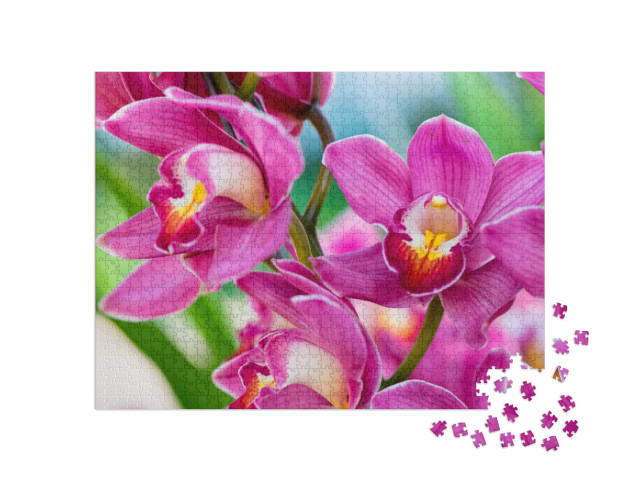 Orchids Close Up At Royal Rajchapuak Park 2017, Chiangmai... Jigsaw Puzzle with 1000 pieces