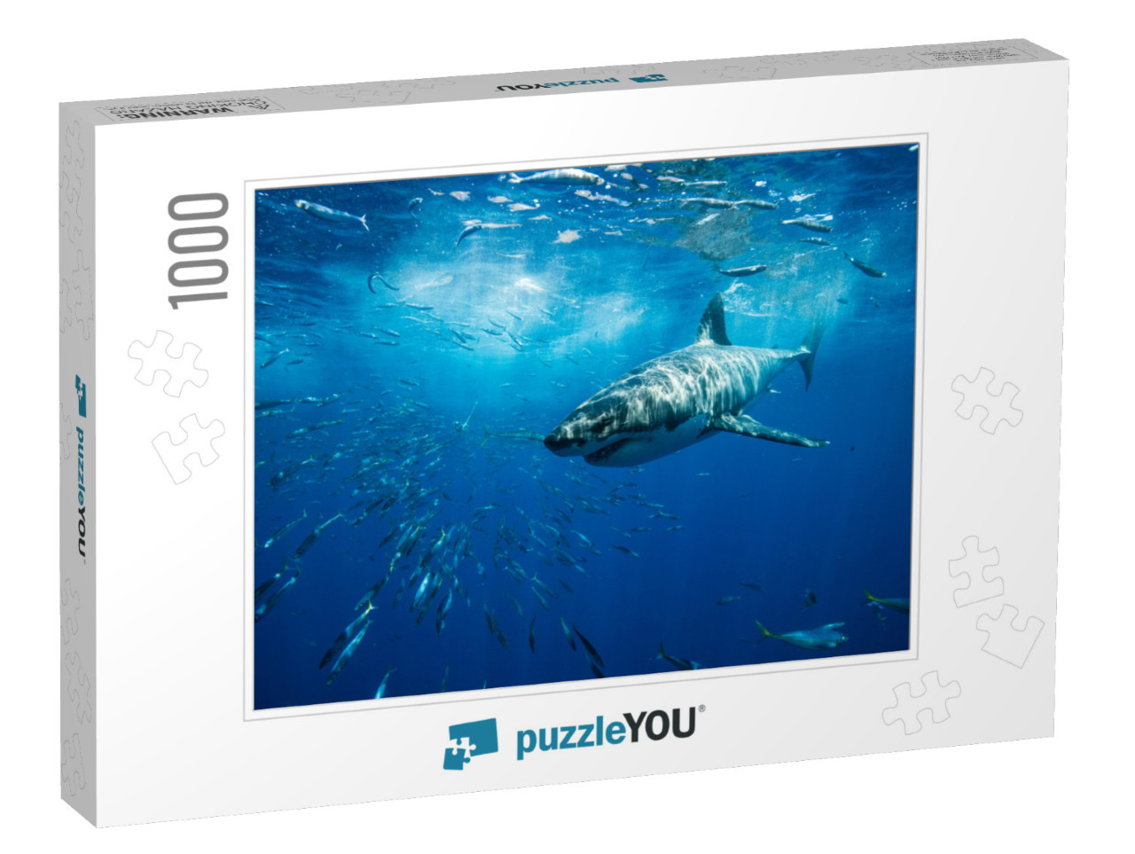 Great White Shark Guadalupe Island Mexico White Shark Big... Jigsaw Puzzle with 1000 pieces