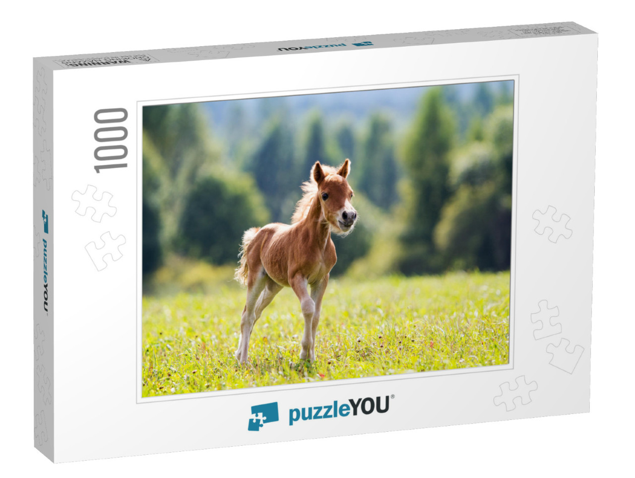 Foal Mini Horse Falabella... Jigsaw Puzzle with 1000 pieces