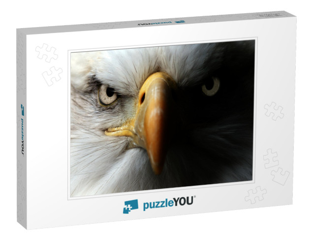 Eagle Close Up Portrait... Jigsaw Puzzle