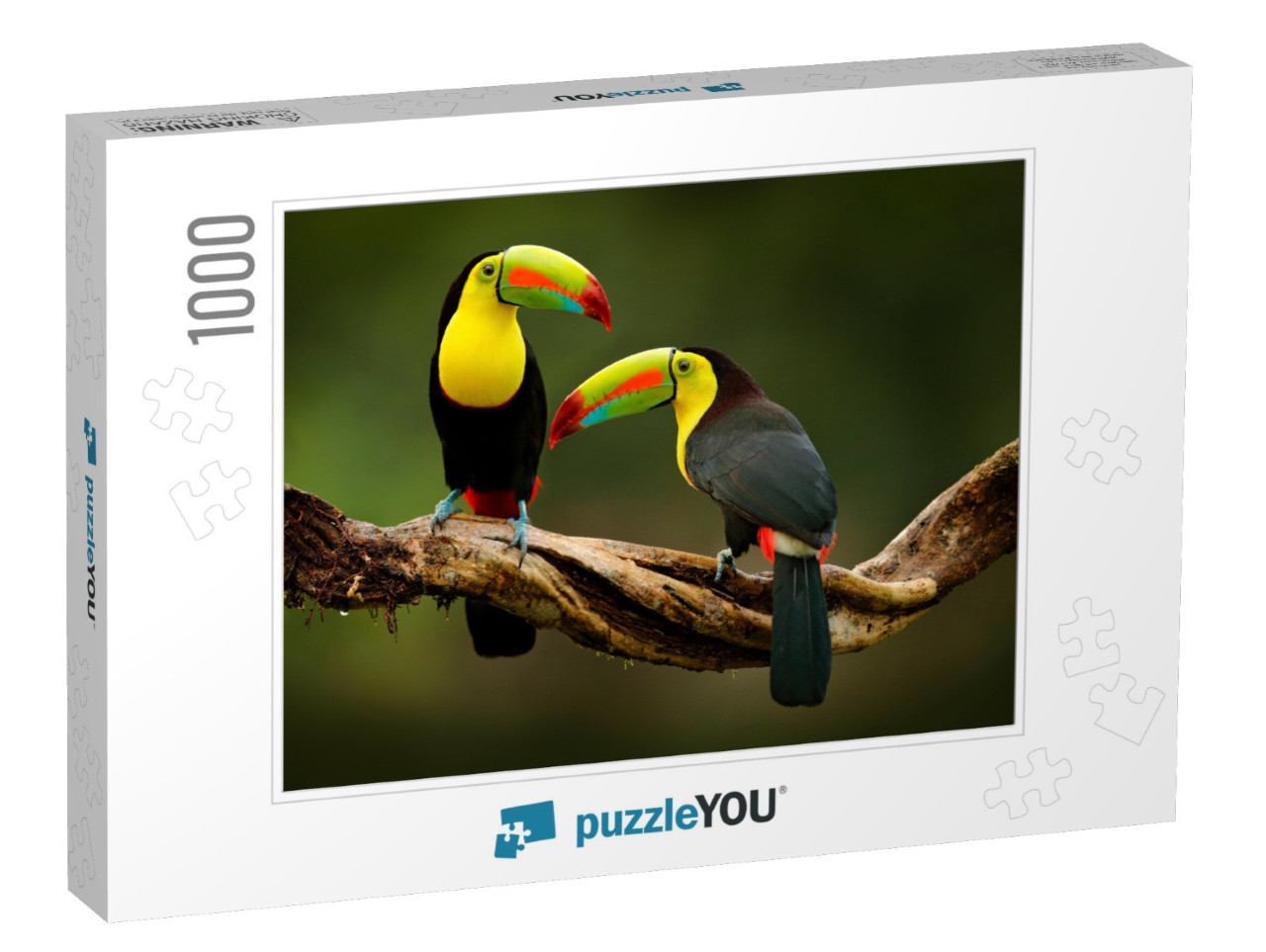 Toucan Sitting on the Branch in the Forest, Green Vegetat... Jigsaw Puzzle with 1000 pieces