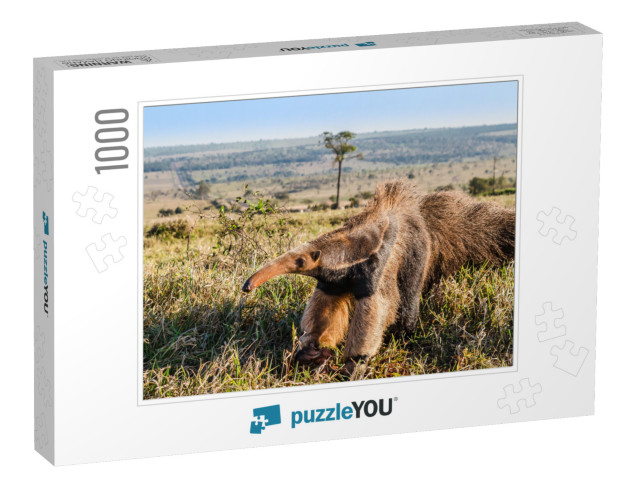 A Wild Giant Anteater At the Pasture... Jigsaw Puzzle with 1000 pieces