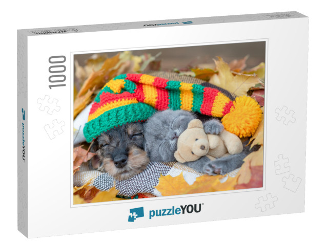 Dachshund Puppy Wearing Warm Hat & Kitten Hugging Toy Bea... Jigsaw Puzzle with 1000 pieces