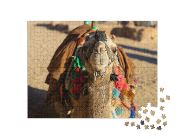 Dromedar Camel in the Background Sands of Hot Desert, Egy... Jigsaw Puzzle with 1000 pieces