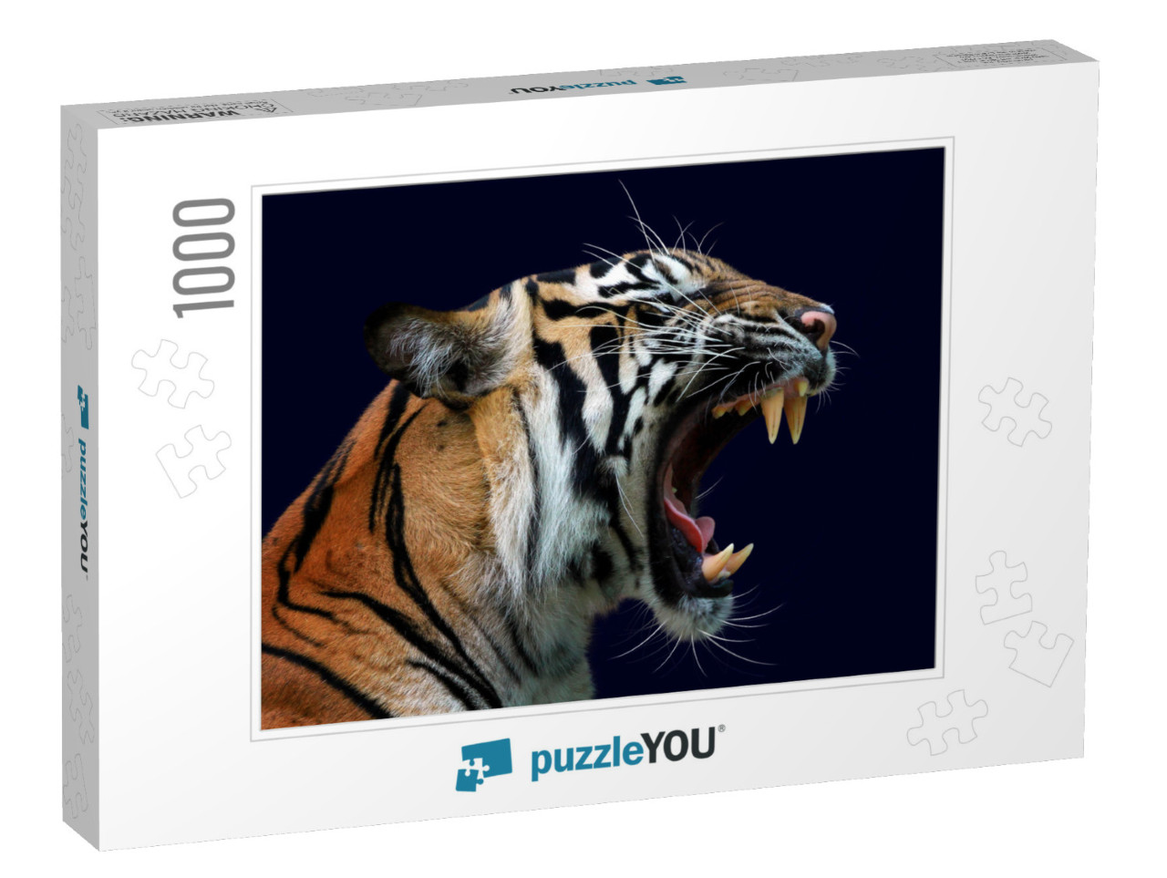 Angry Face of Sumatran Tiger, Animal Angry, Head of Tiger... Jigsaw Puzzle with 1000 pieces