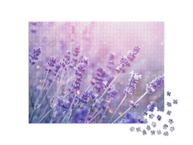 Lavender Flower Field, Blooming Violet Fragrant Lavender... Jigsaw Puzzle with 1000 pieces