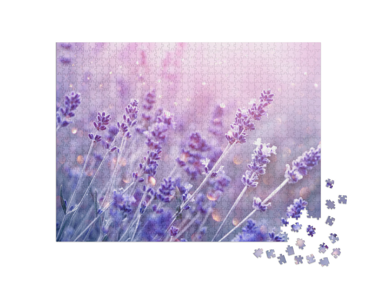 Lavender Flower Field, Blooming Violet Fragrant Lavender... Jigsaw Puzzle with 1000 pieces