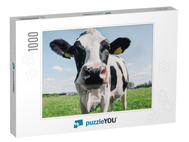 Cow on the Background of Sky & Green Grass... Jigsaw Puzzle with 1000 pieces