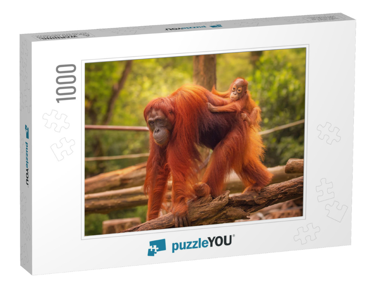 Young Orangutan is Sleeping on Its Mother... Jigsaw Puzzle with 1000 pieces