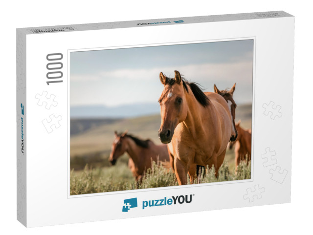 Beautiful Herd of American Quarter Horse Ranch Horses in... Jigsaw Puzzle with 1000 pieces