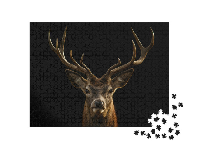 Red Deer Portrait on Black Background... Jigsaw Puzzle with 1000 pieces