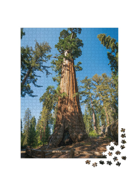 General Grant At Kings Canyon National Park, in Californi... Jigsaw Puzzle with 1000 pieces