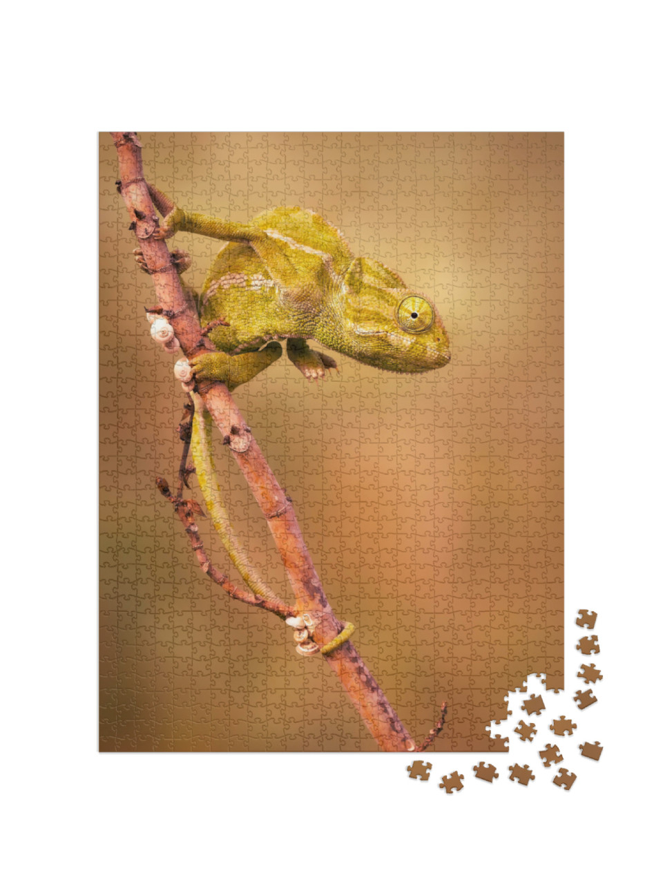 Common Chameleon Chamaeleo Chamaeleon... Jigsaw Puzzle with 1000 pieces