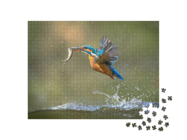 Common European Kingfisher Alcedo Atthis. River Kingfishe... Jigsaw Puzzle with 1000 pieces