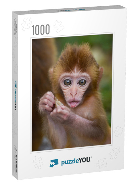 Cute Baby Monkey Eating in a Forest... Jigsaw Puzzle with 1000 pieces