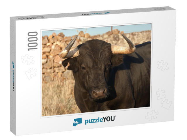 Specimen of Spanish Fighting Bull Breed, Closeup Head. Fi... Jigsaw Puzzle with 1000 pieces