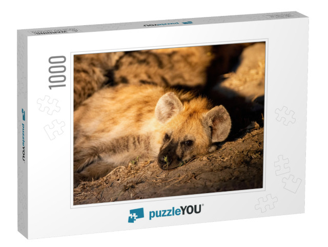 Close Up Photo of a Young Hyena... Jigsaw Puzzle with 1000 pieces