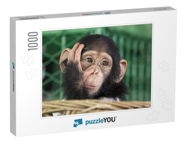 Chimpanzee Face... Jigsaw Puzzle with 1000 pieces