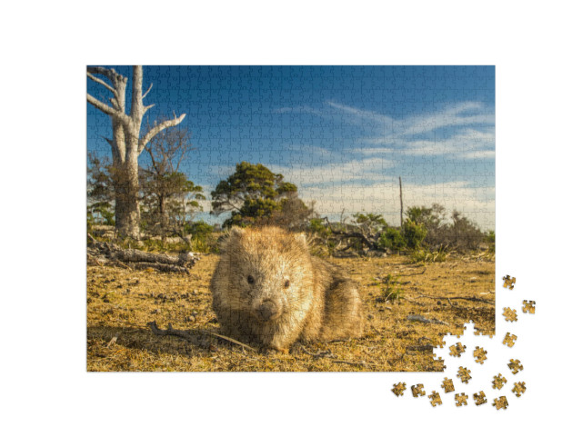 Maria Island, Tasmania, Australia- March 2019 Wombat Vomb... Jigsaw Puzzle with 1000 pieces