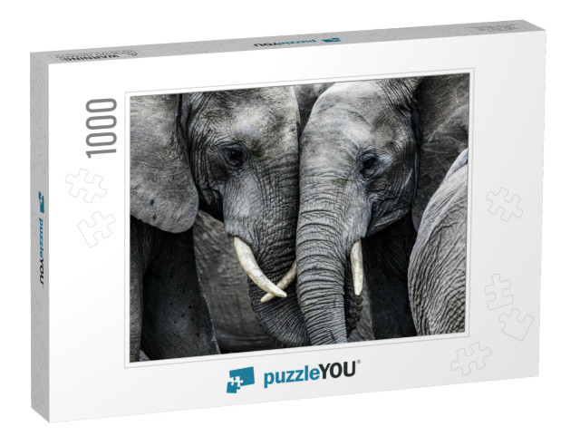 Elephants... Jigsaw Puzzle with 1000 pieces