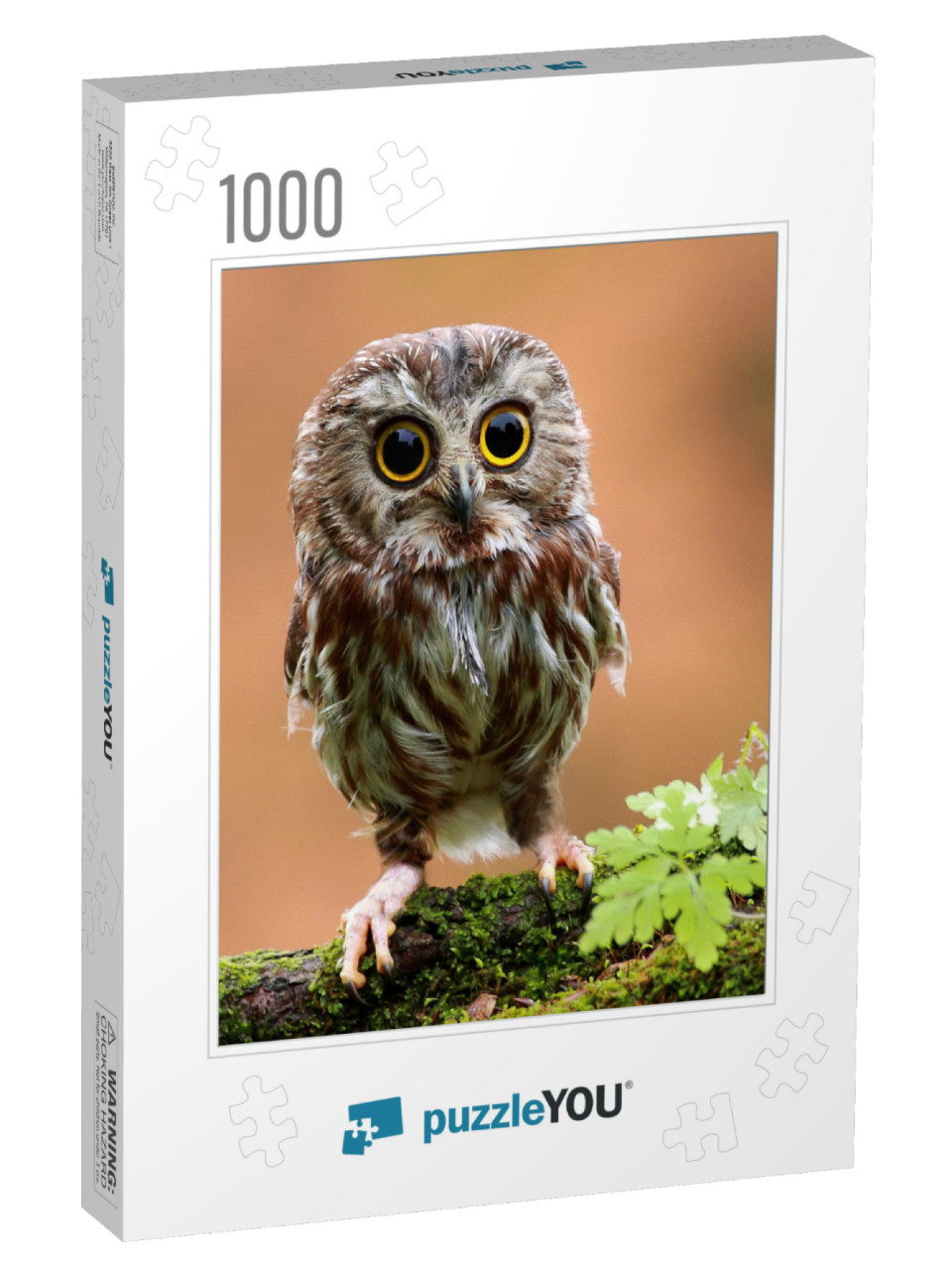 The Cute Lonely Baby of Owl... Jigsaw Puzzle with 1000 pieces