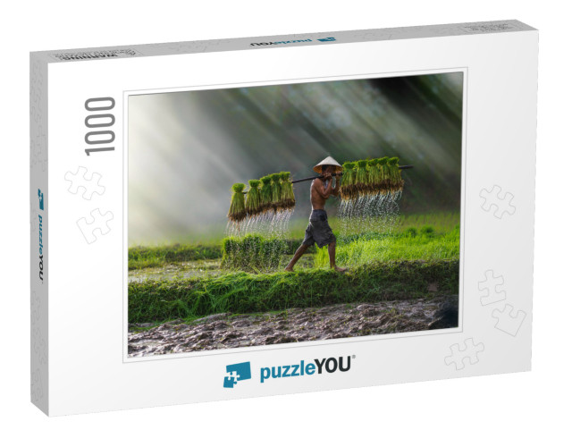 Vietnam Farmer Bearing Seedlings of Rice to Plant, Asian... Jigsaw Puzzle with 1000 pieces