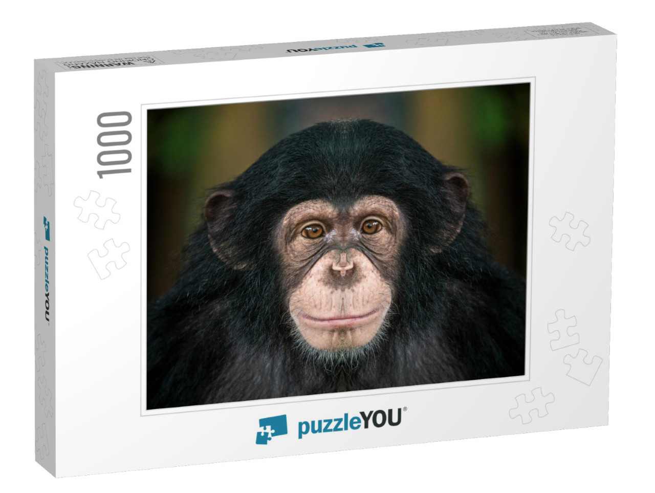 Portrait of Chimpanzees... Jigsaw Puzzle with 1000 pieces