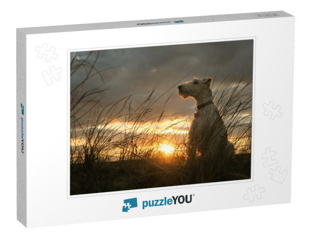 Wire Haired Fox Terrier Sitting with Dramatic Sunset Behi... Jigsaw Puzzle